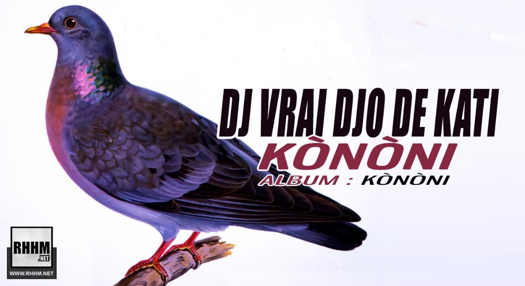 DJ VRAI DJO DE KATI - KÒNÒNI (2019)
