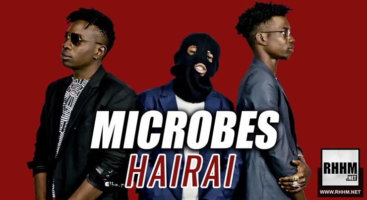 MICROBES - HAIRAI (2019)