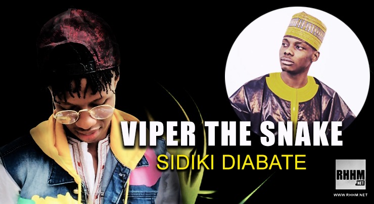 VIPER THE SNAKE - SIDIKI DIABATE (2020)