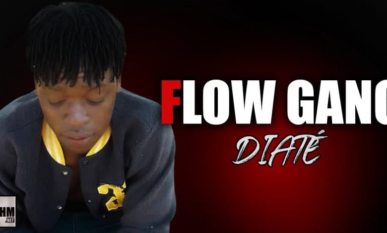 FLOW GANG - DIATÉ (2021)