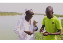 PETIT BANDIT - LE MEILLEUR VENDEUR DU POISSON AU BORD DU FLEUVE (Vidéo 2021)